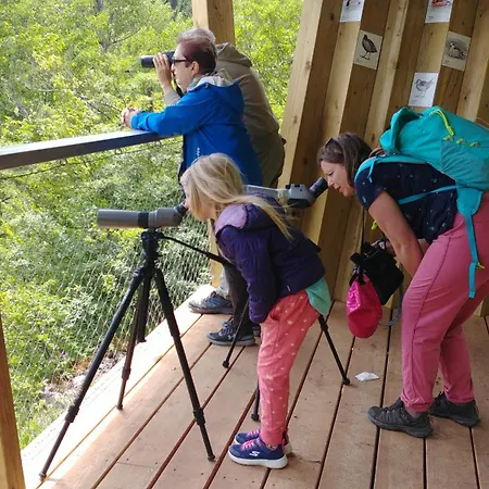 Lejlighed Kranjc Cerknica