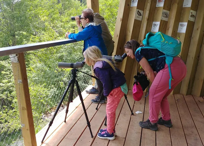 דירה Kranjc צרקניצה